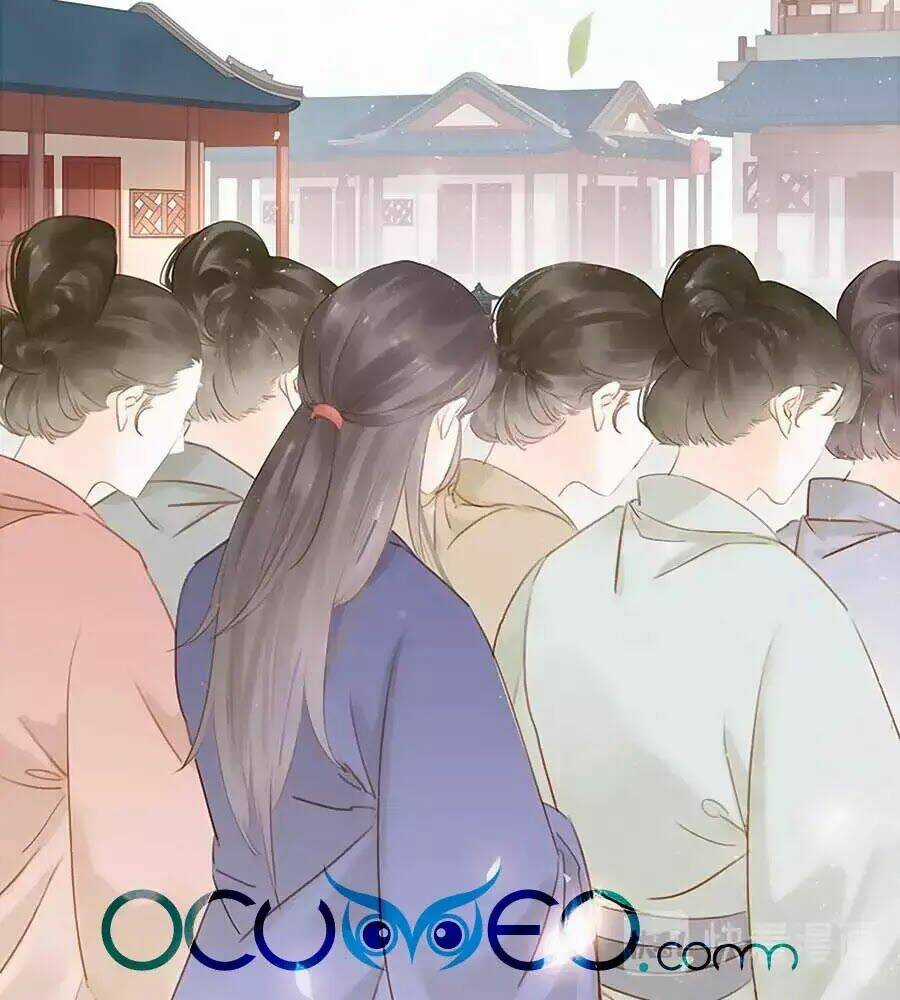 Tiểu Sư Phụ, Tóc Giả Của Ngài Rơi Rồi! Chapter 15 trang 1