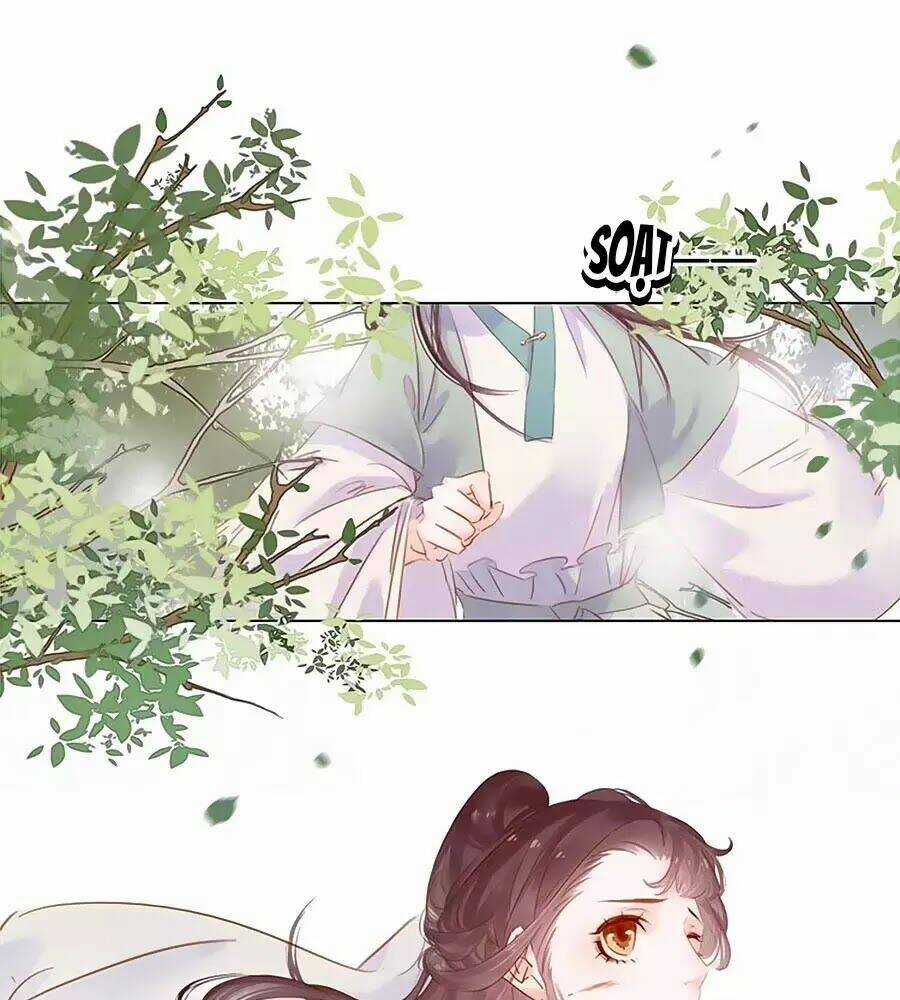 Tiểu Sư Phụ, Tóc Giả Của Ngài Rơi Rồi! Chapter 17 trang 0