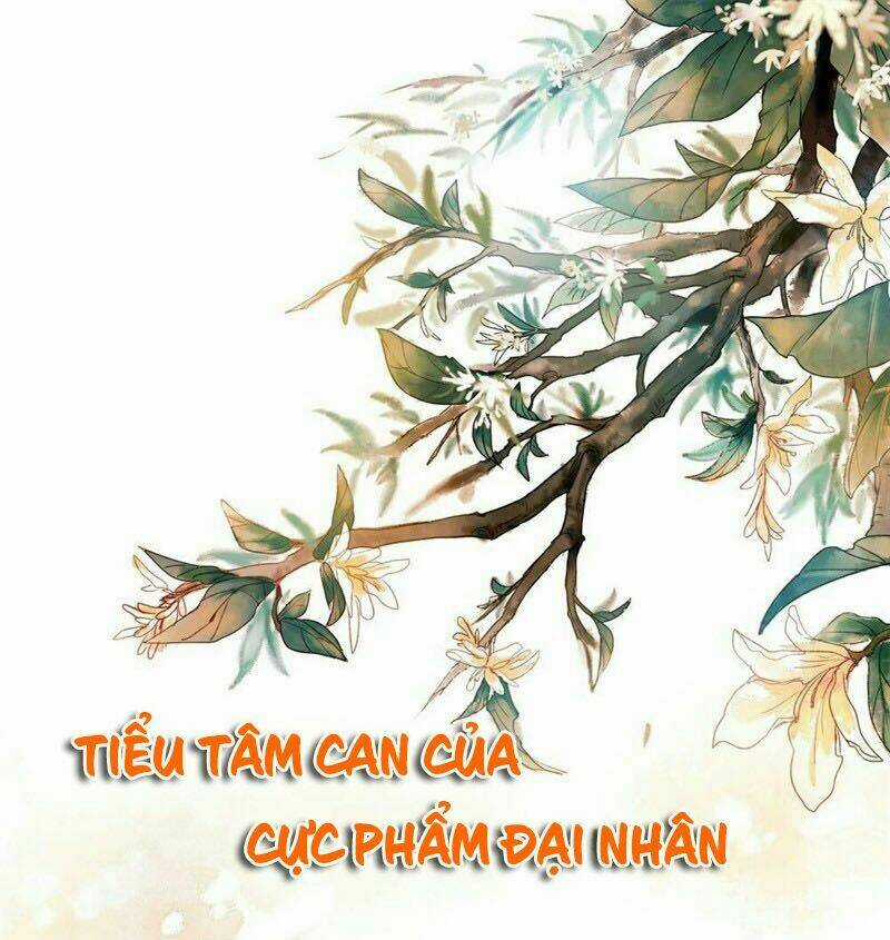 Tiểu Tâm Can Của Cực Phẩm Đại Nhân Chapter 20.1 trang 2