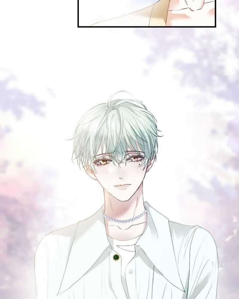 Tiểu Thiếu Gia Dựa Vào Mỹ Mạo Hoành Hành Toàn Hệ Thống Chapter 35 trang 53