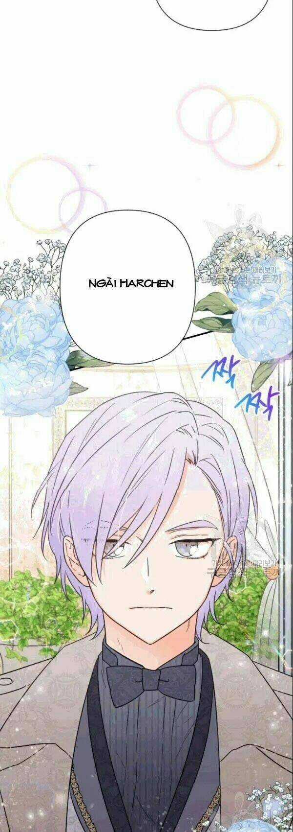 Tiểu Thư Bé Bỏng Đáng Yêu! Chapter 104 trang 1