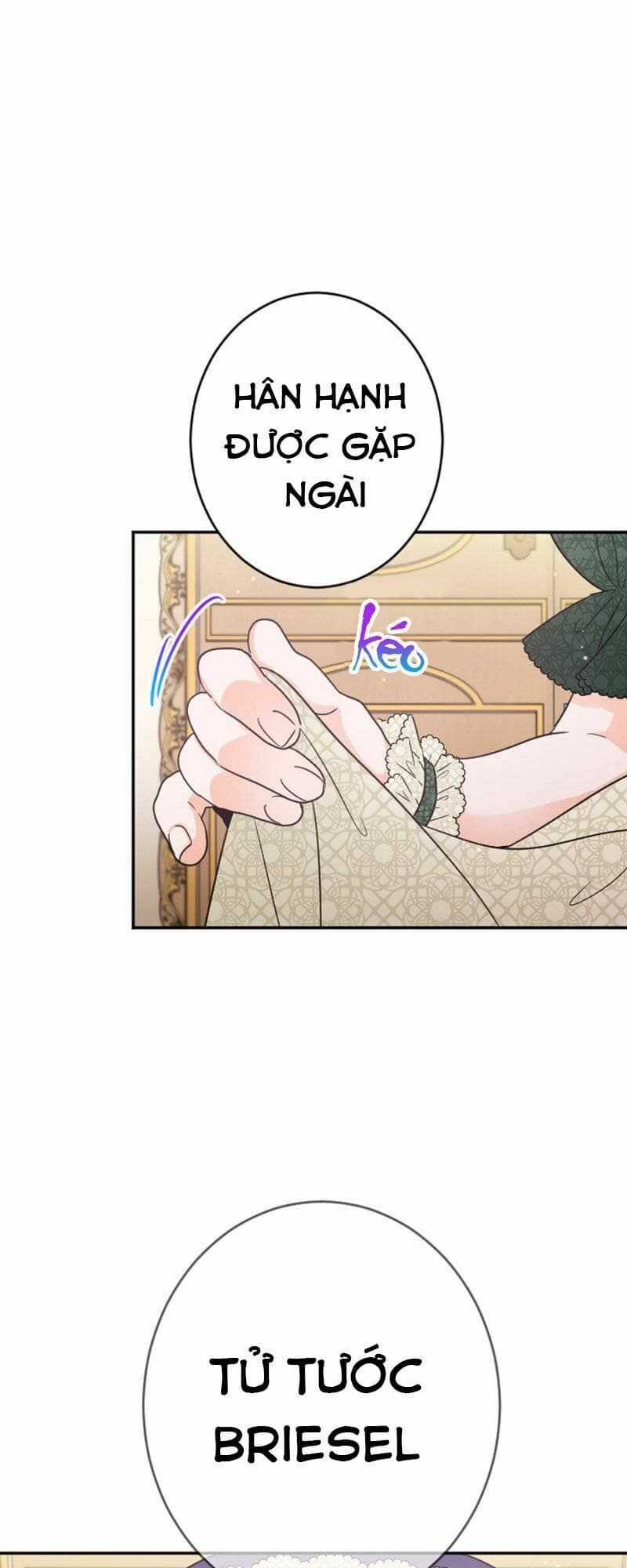 Tiểu Thư Bé Bỏng Đáng Yêu! Chapter 66 trang 0