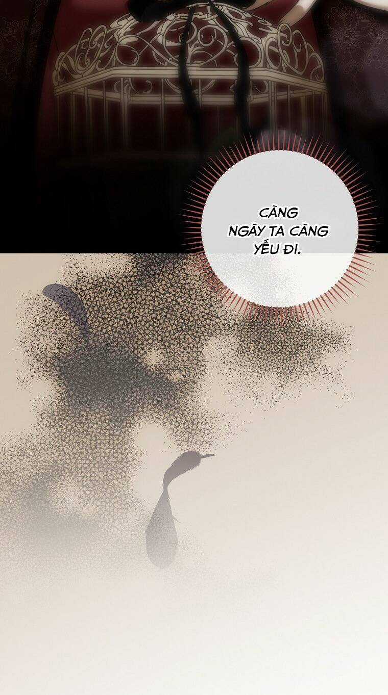 Tiểu Thư Hắc Ám Nhà Công Tước Chapter 43 trang 27