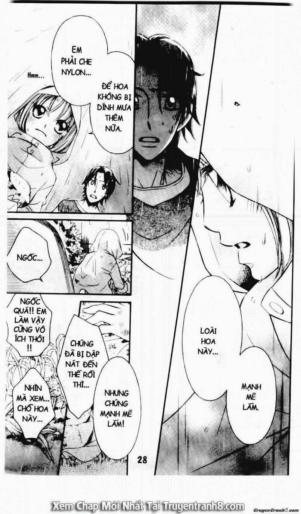 Tiểu Thư Sachie Chapter 87 trang 4