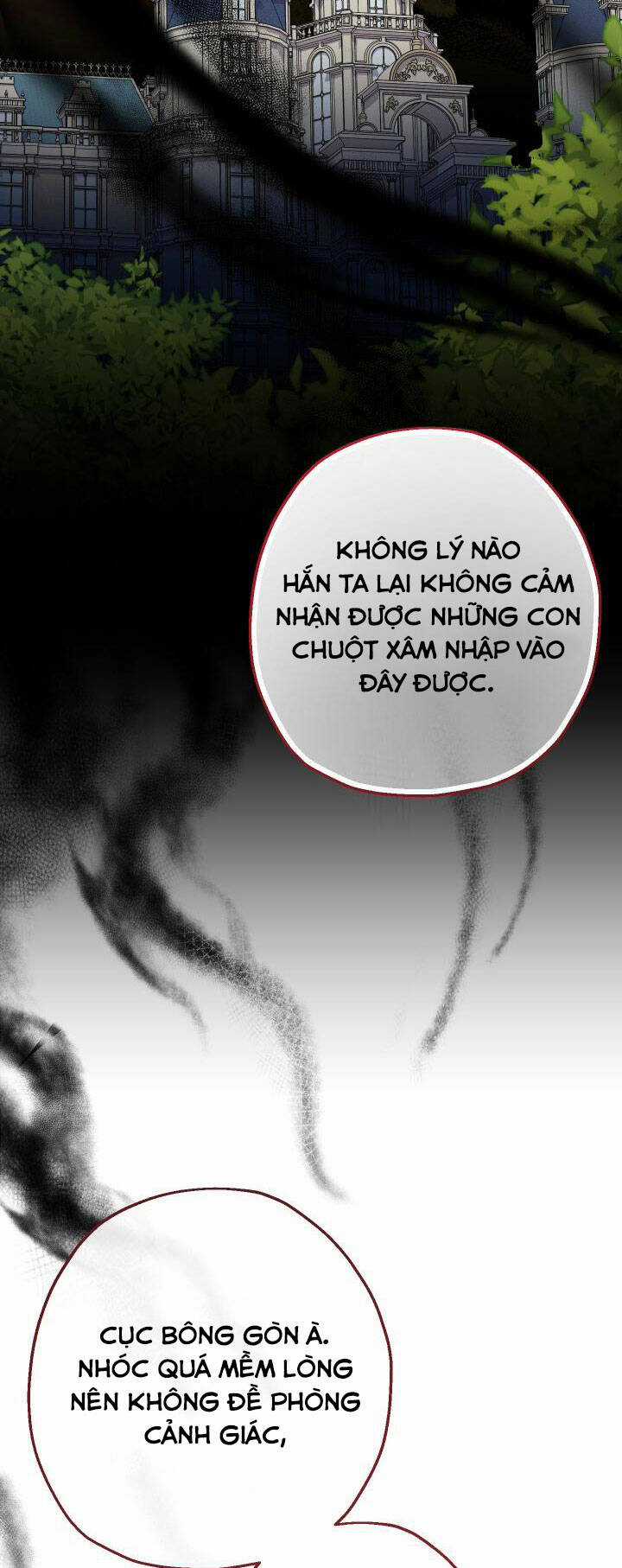 Tiểu Thư Tích Tiền Đi Bụi Chapter 39 trang 37