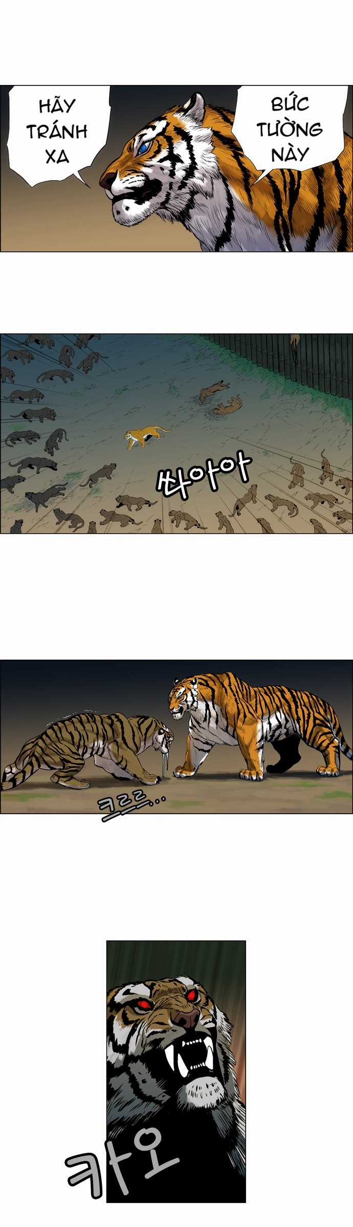 Tiger Brother Chapter 2 trang 23