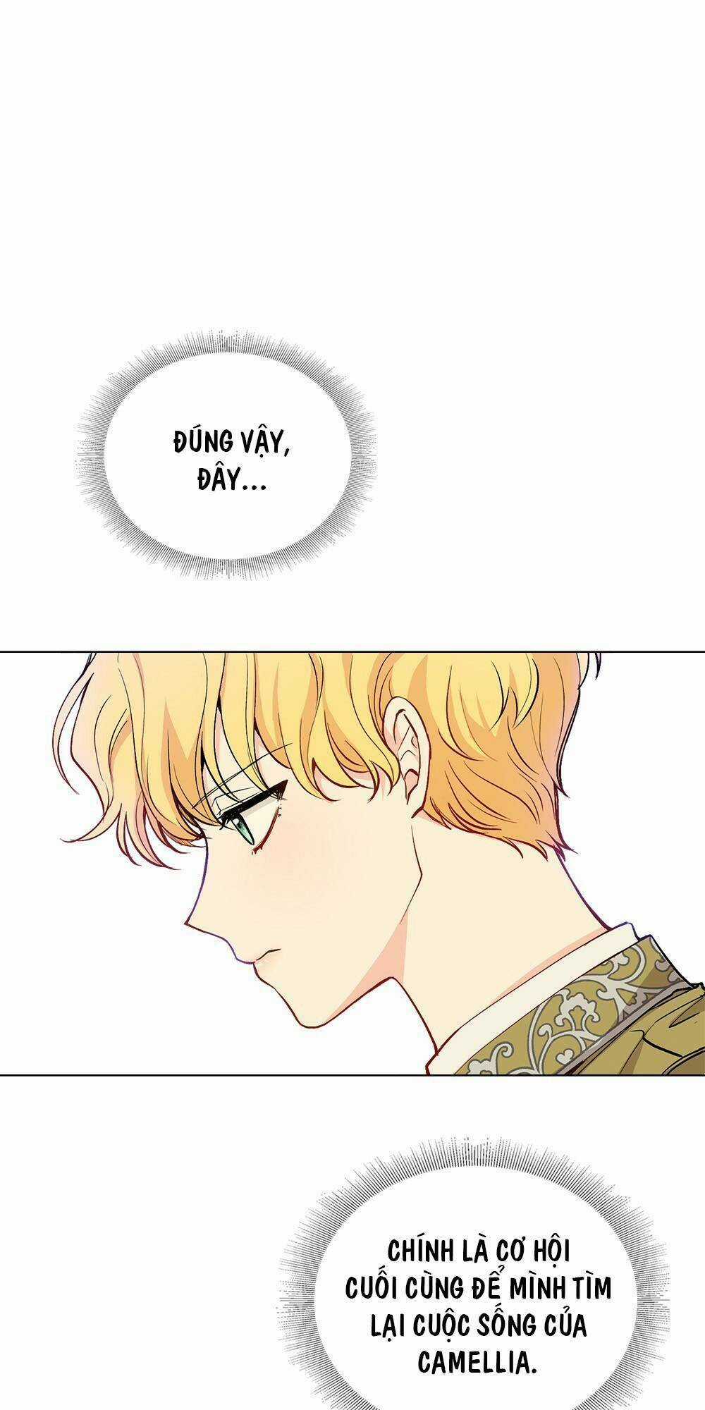 Tìm Lại Camellia Chapter 11 trang 1