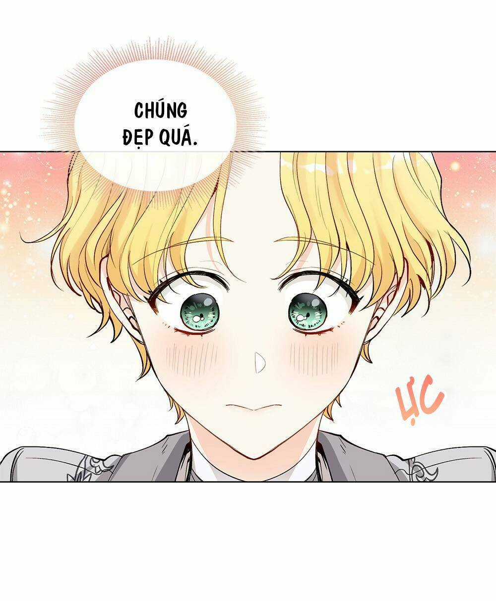 Tìm Lại Camellia Chapter 13 trang 3