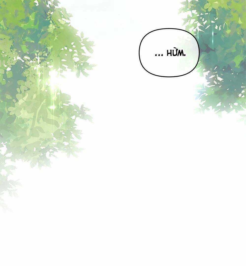 Tìm Lại Camellia Chapter 19 trang 65