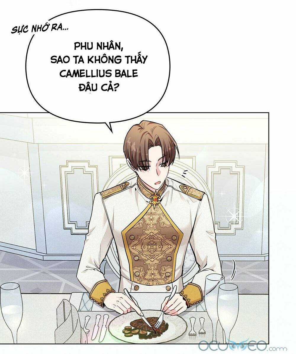 Tìm Lại Camellia Chapter 24 trang 14