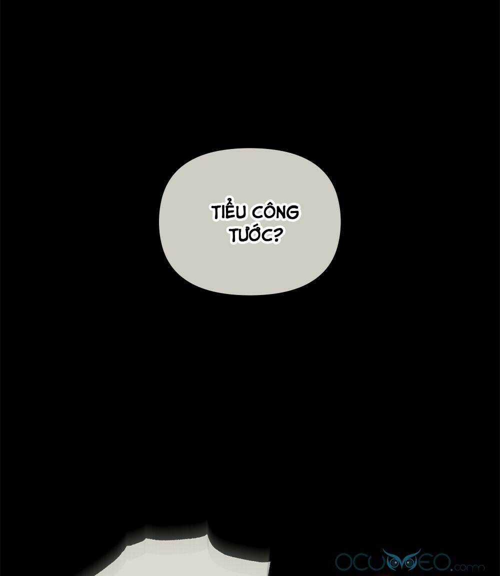 Tìm Lại Camellia Chapter 27 trang 67