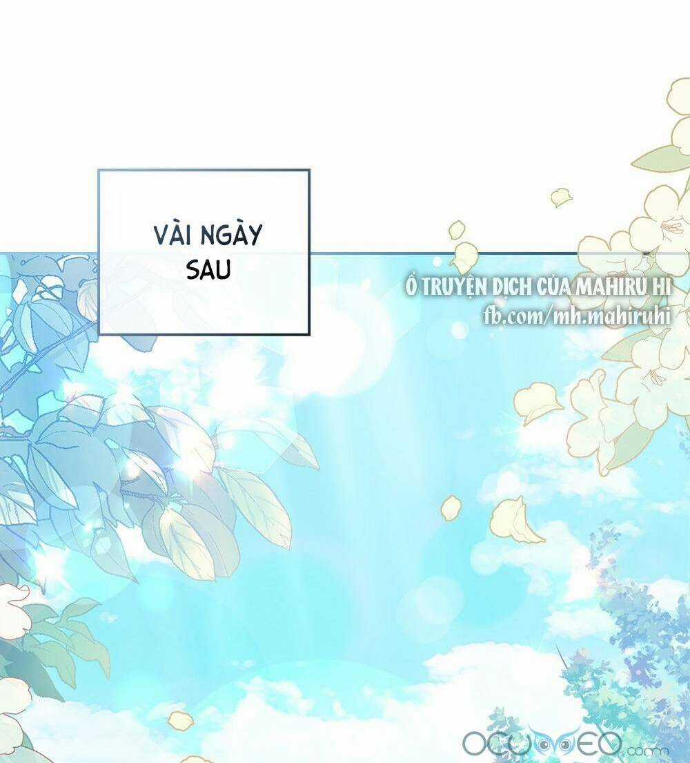 Tìm Lại Camellia Chapter 28 trang 10