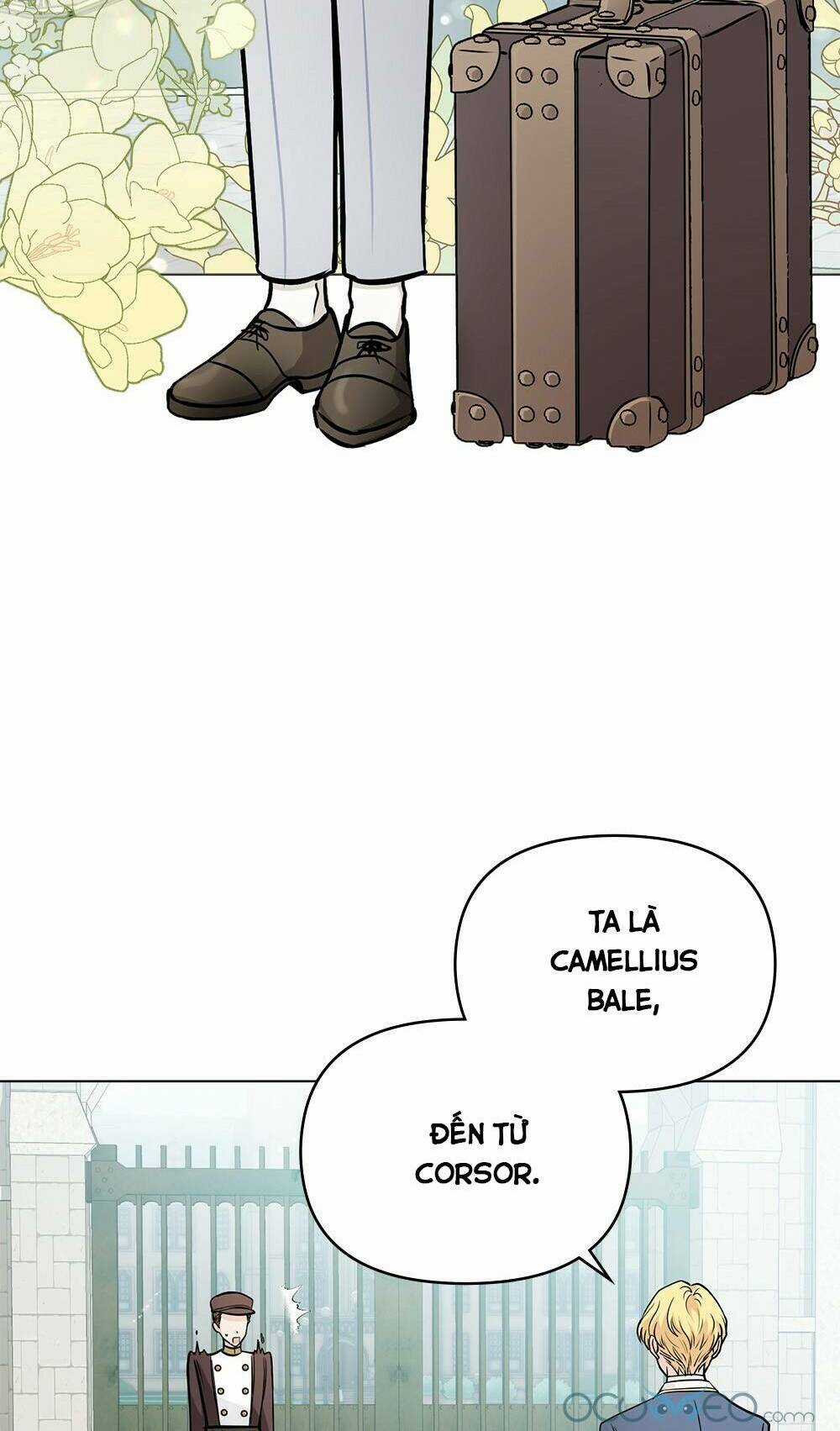 Tìm Lại Camellia Chapter 28 trang 12