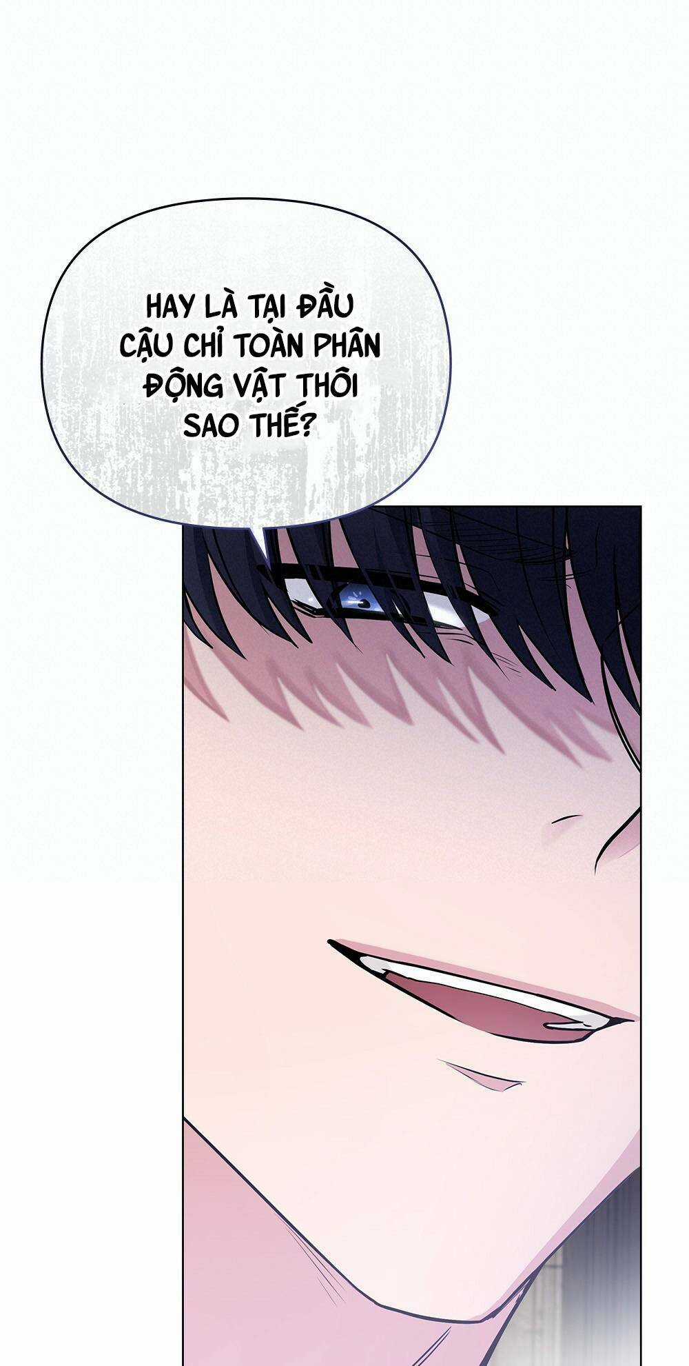 Tìm Lại Camellia Chapter 28 trang 53