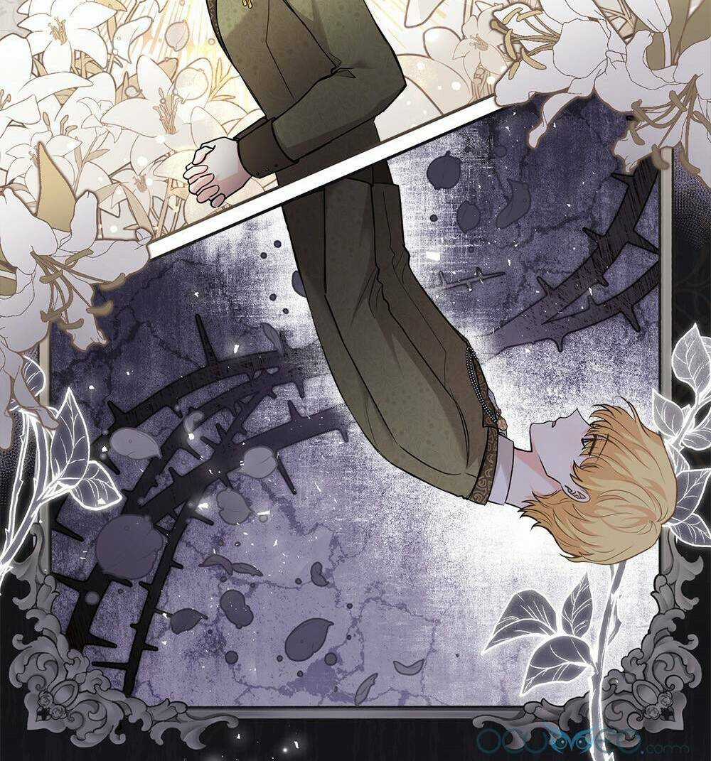 Tìm Lại Camellia Chapter 29 trang 11