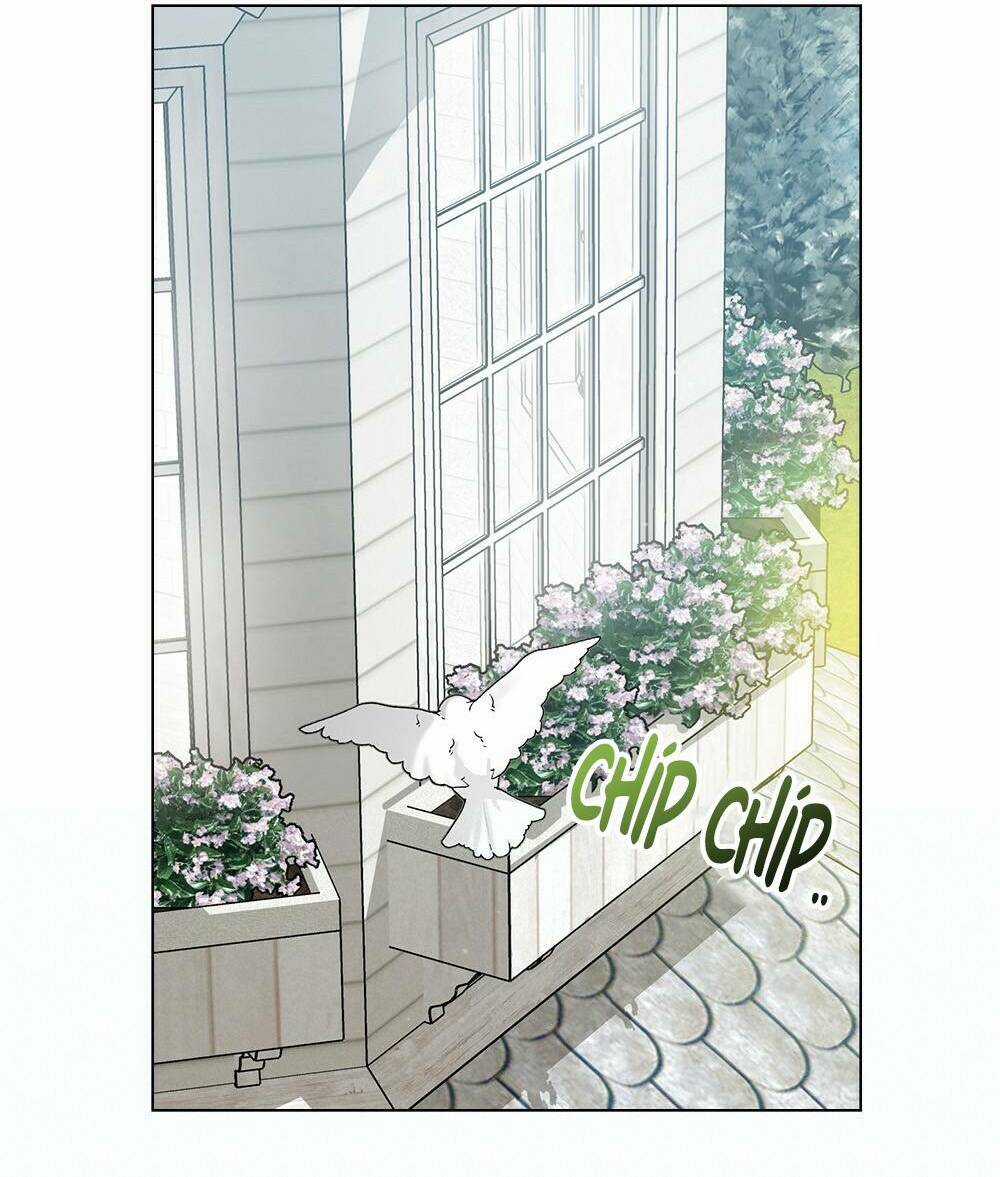 Tìm Lại Camellia Chapter 31 trang 64