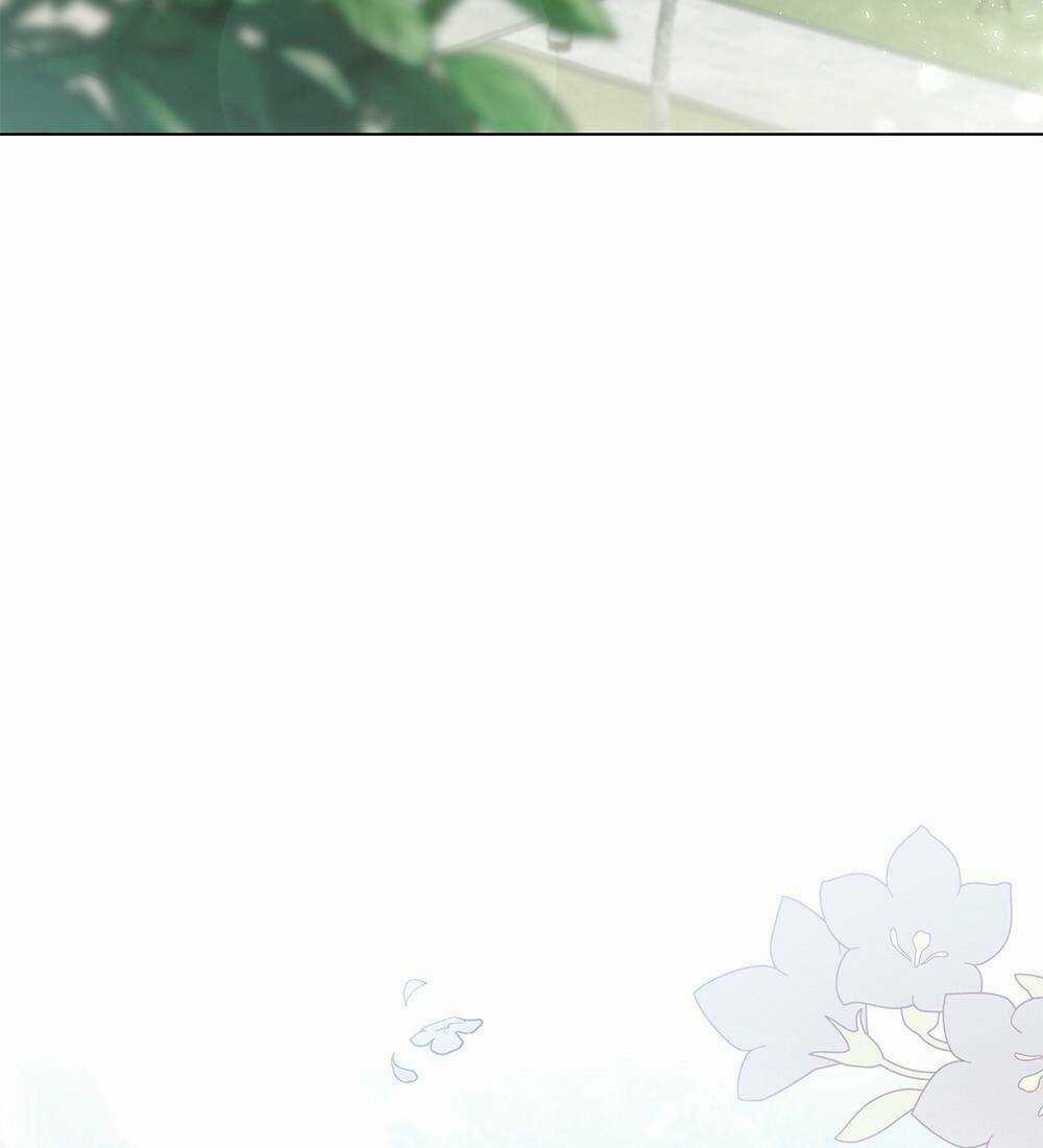 Tìm Lại Camellia Chapter 32 trang 29