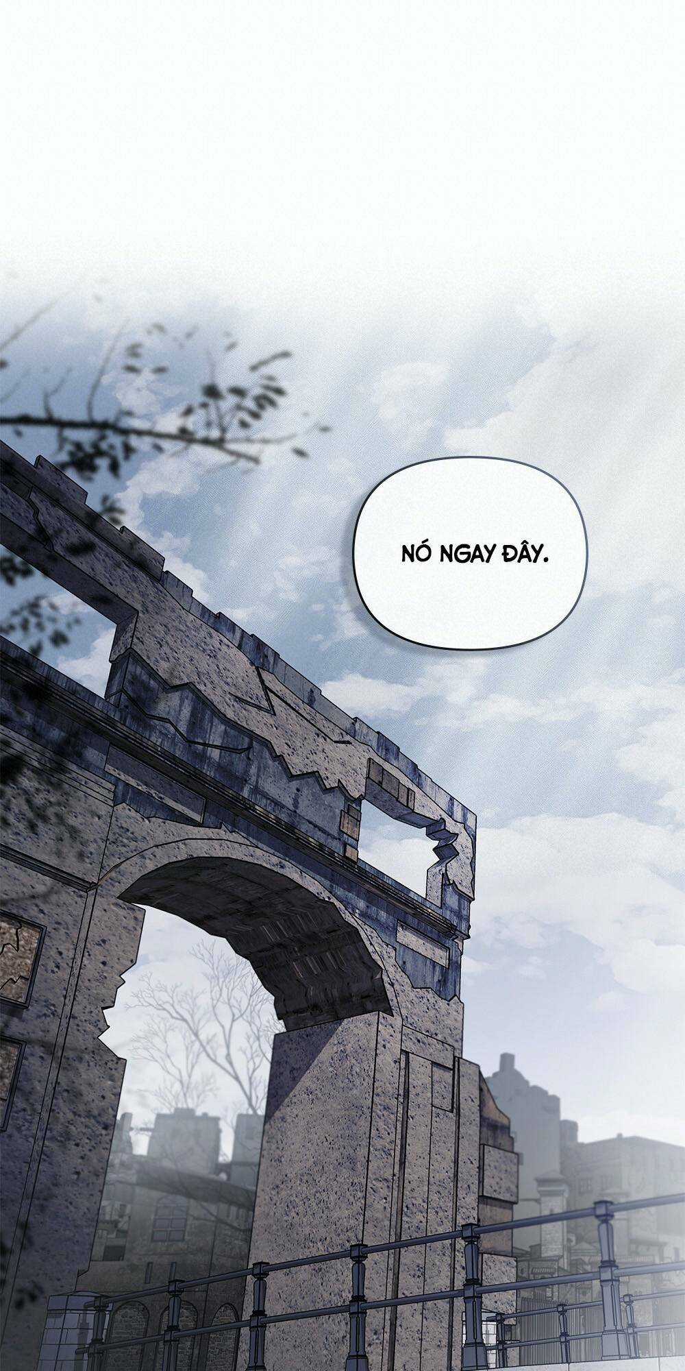 Tìm Lại Camellia Chapter 33 trang 13