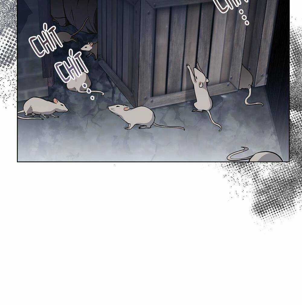 Tìm Lại Camellia Chapter 33 trang 24