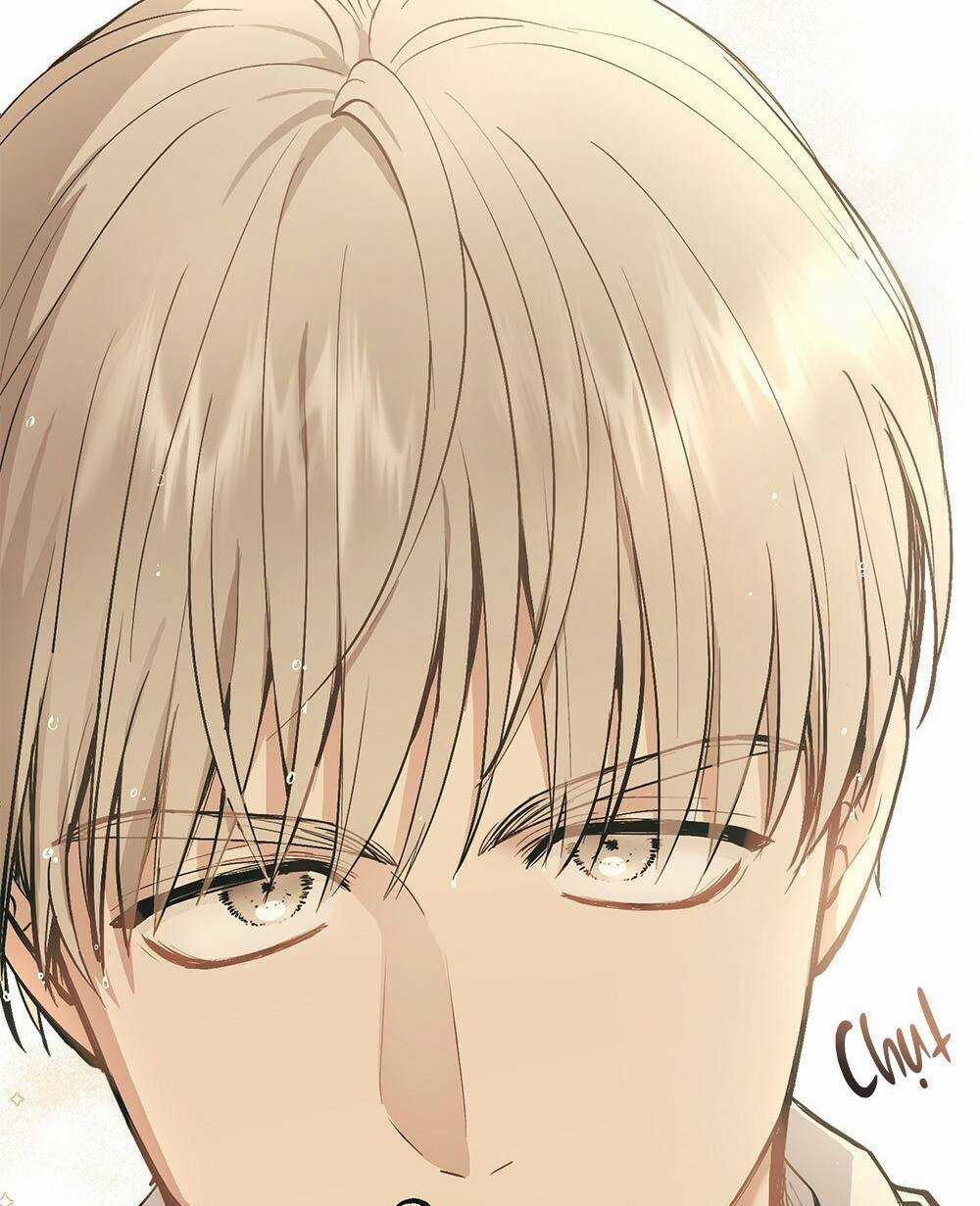 Tìm Lại Camellia Chapter 35 trang 8