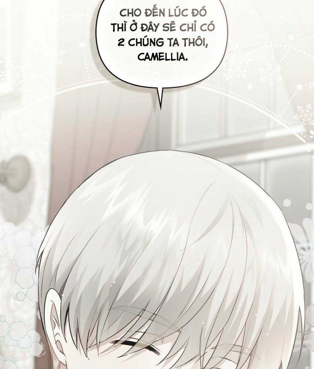 Tìm Lại Camellia Chapter 36 trang 4