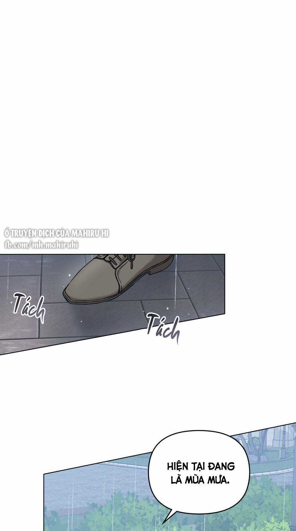 Tìm Lại Camellia Chapter 39 trang 10