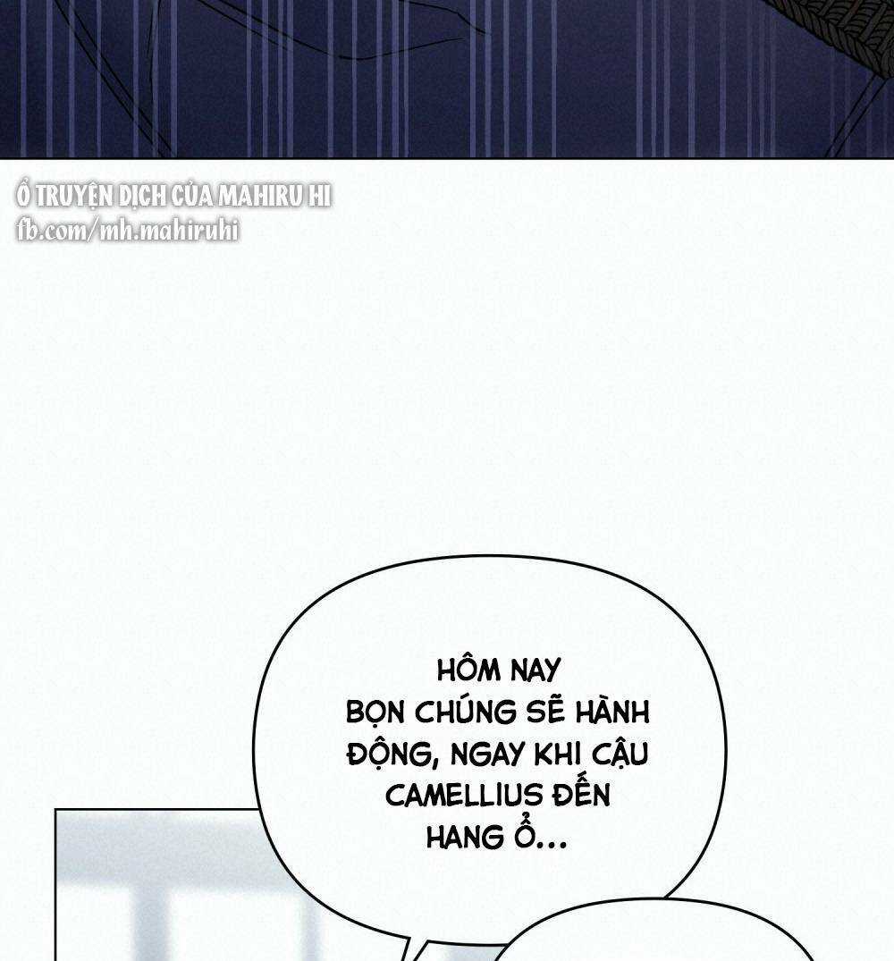 Tìm Lại Camellia Chapter 41 trang 78