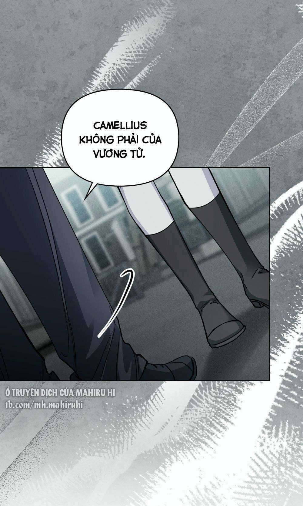 Tìm Lại Camellia Chapter 47 trang 28