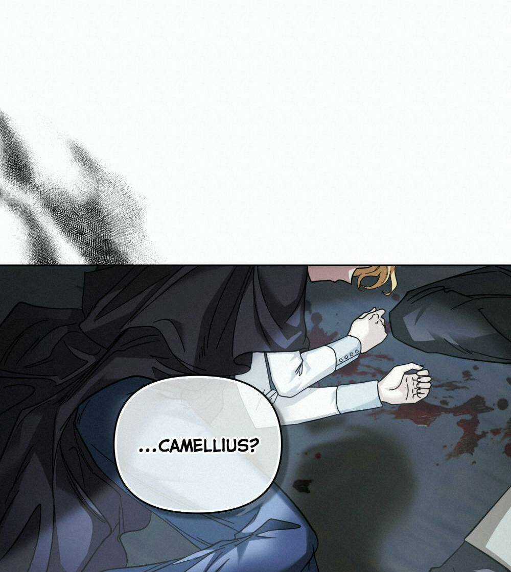 Tìm Lại Camellia Chapter 49 trang 14