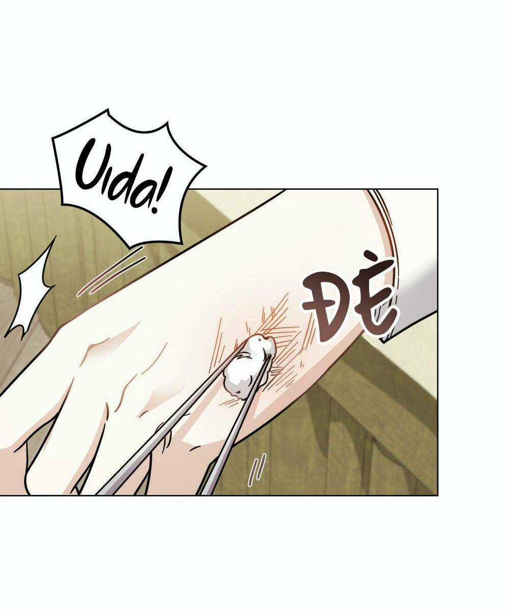 Tìm Lại Camellia Chapter 49 trang 49