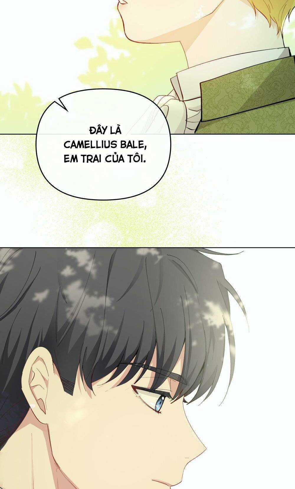 Tìm Lại Camellia Chapter 51 trang 16