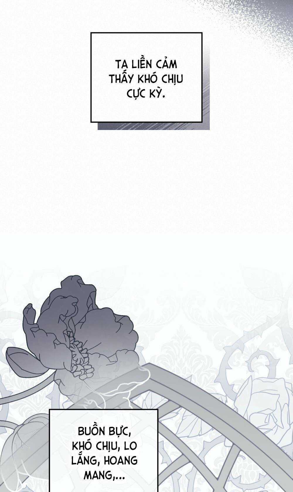 Tìm Lại Camellia Chapter 51 trang 28