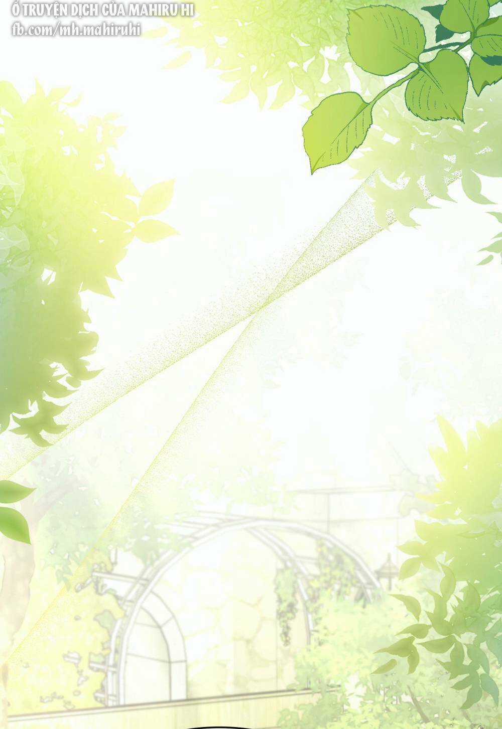 Tìm Lại Camellia Chapter 51 trang 3