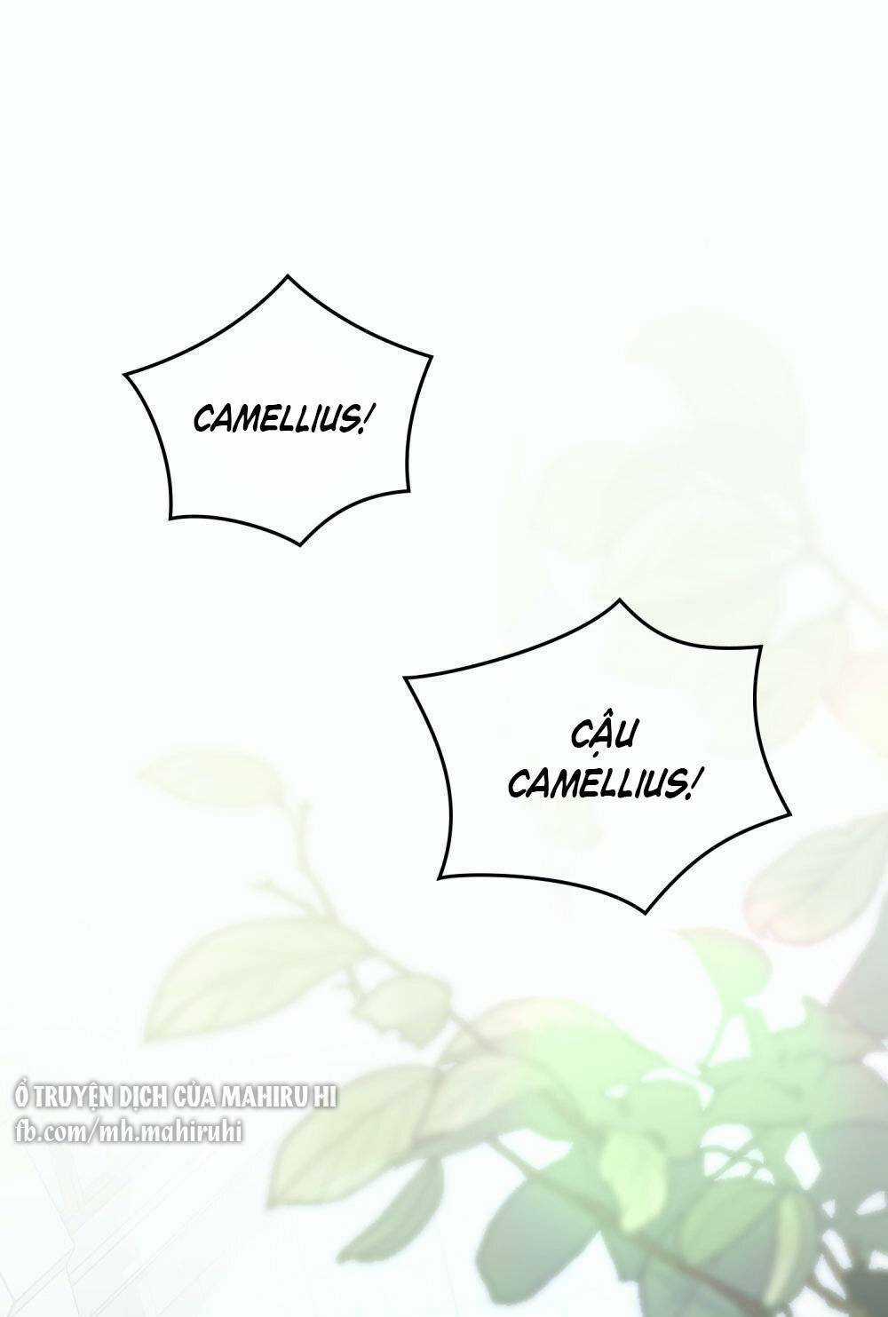 Tìm Lại Camellia Chapter 52 trang 1