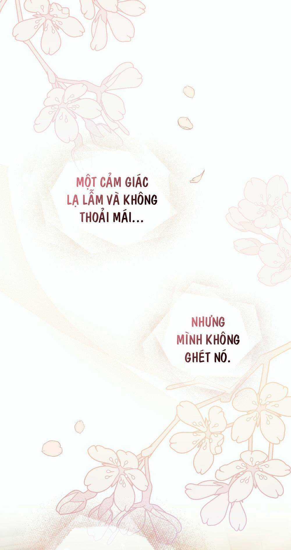 Tìm Lại Camellia Chapter 52 trang 28