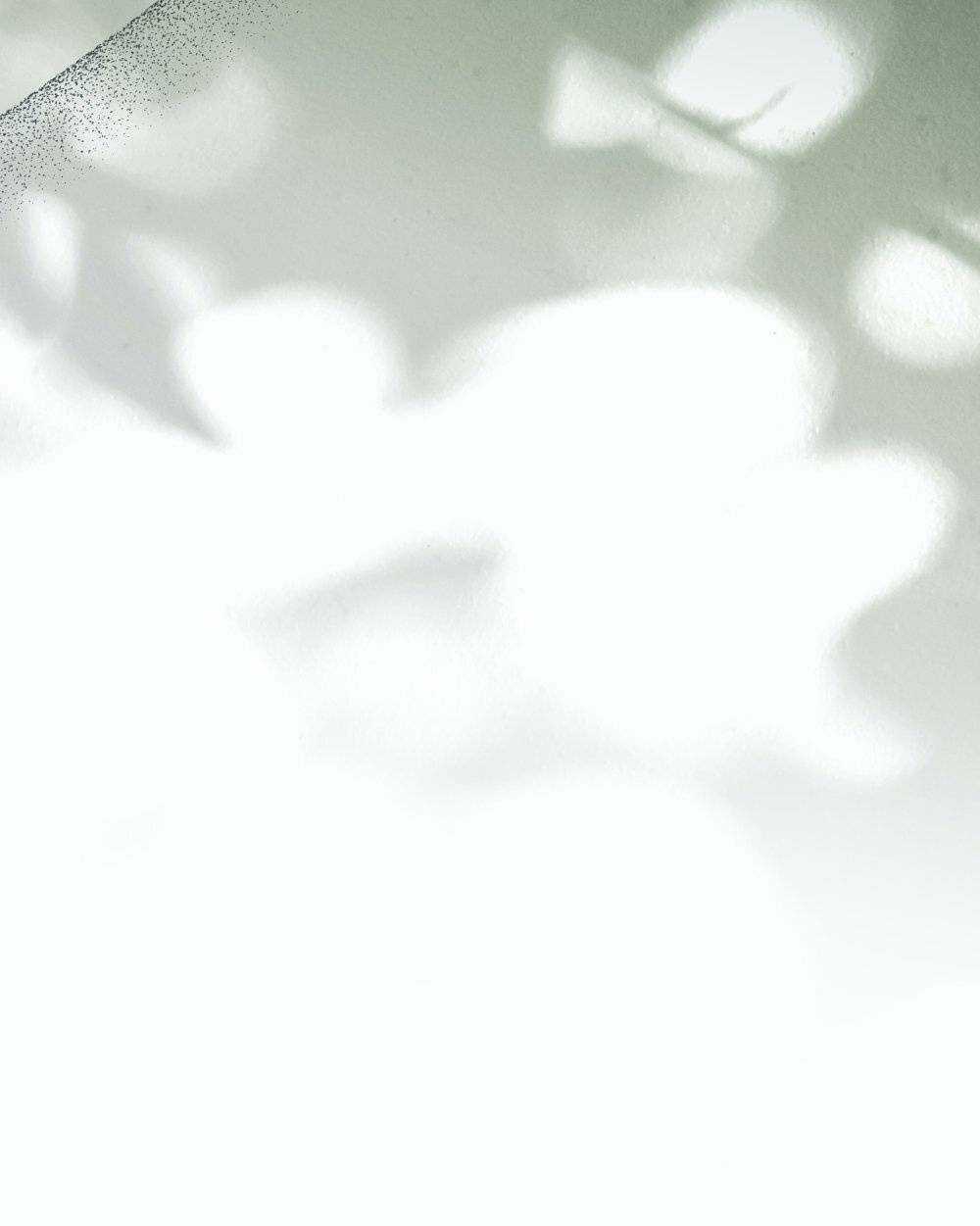 Tìm Lại Camellia Chapter 52 trang 69