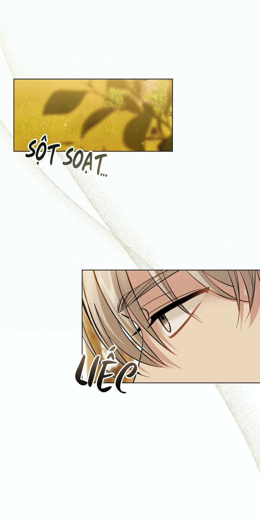 Tìm Lại Camellia Chapter 53 trang 60