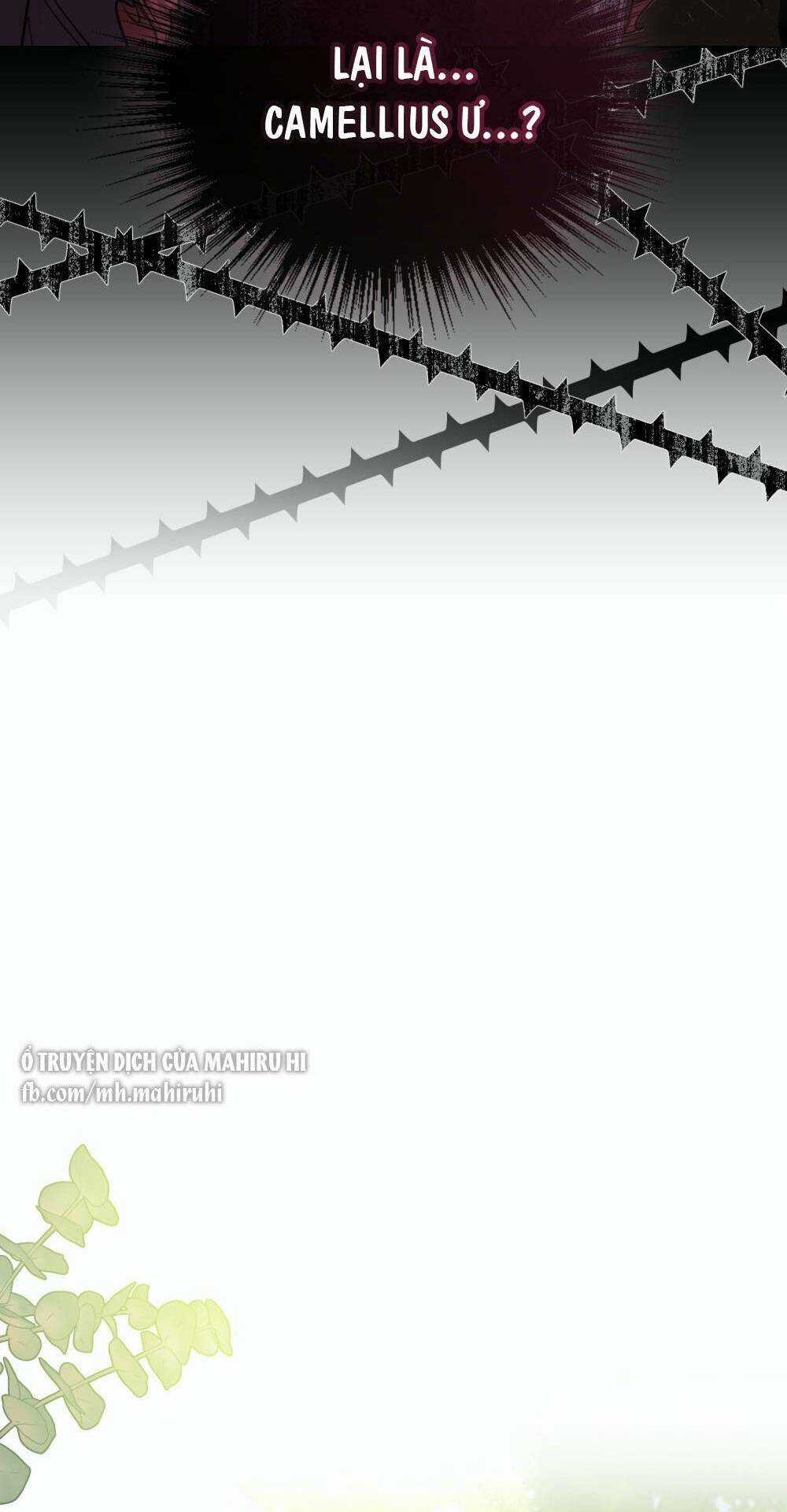 Tìm Lại Camellia Chapter 55 trang 18