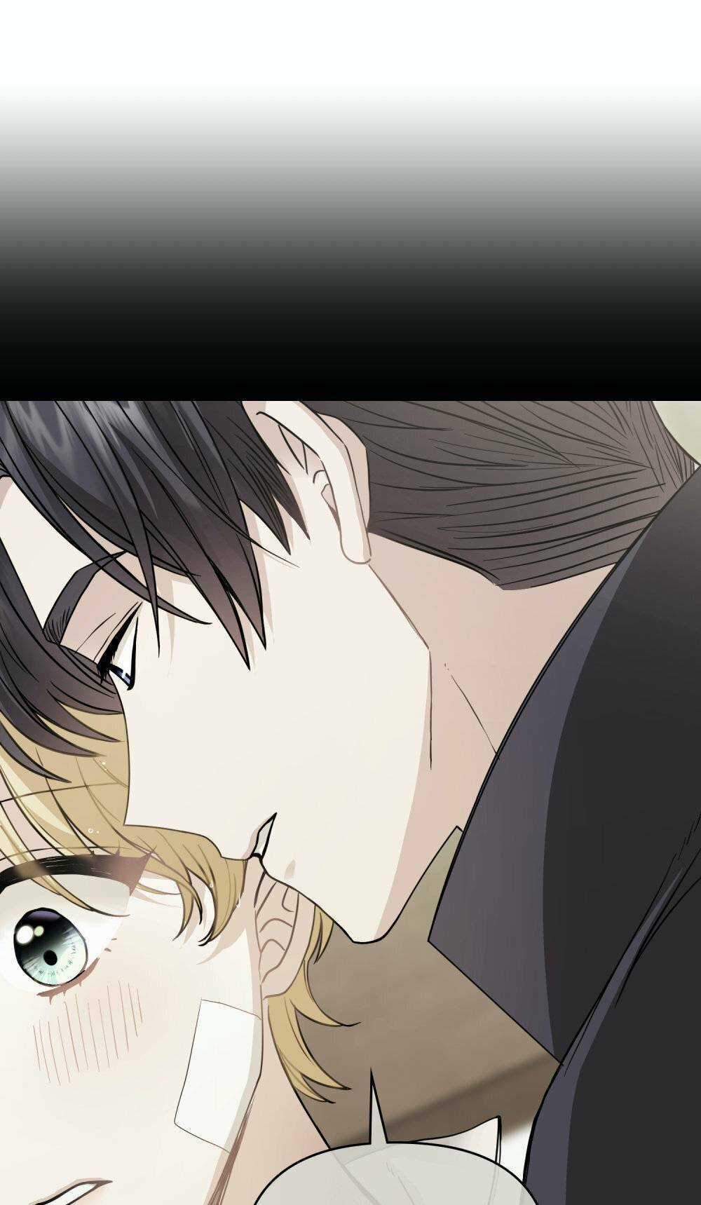 Tìm Lại Camellia Chapter 57 trang 11