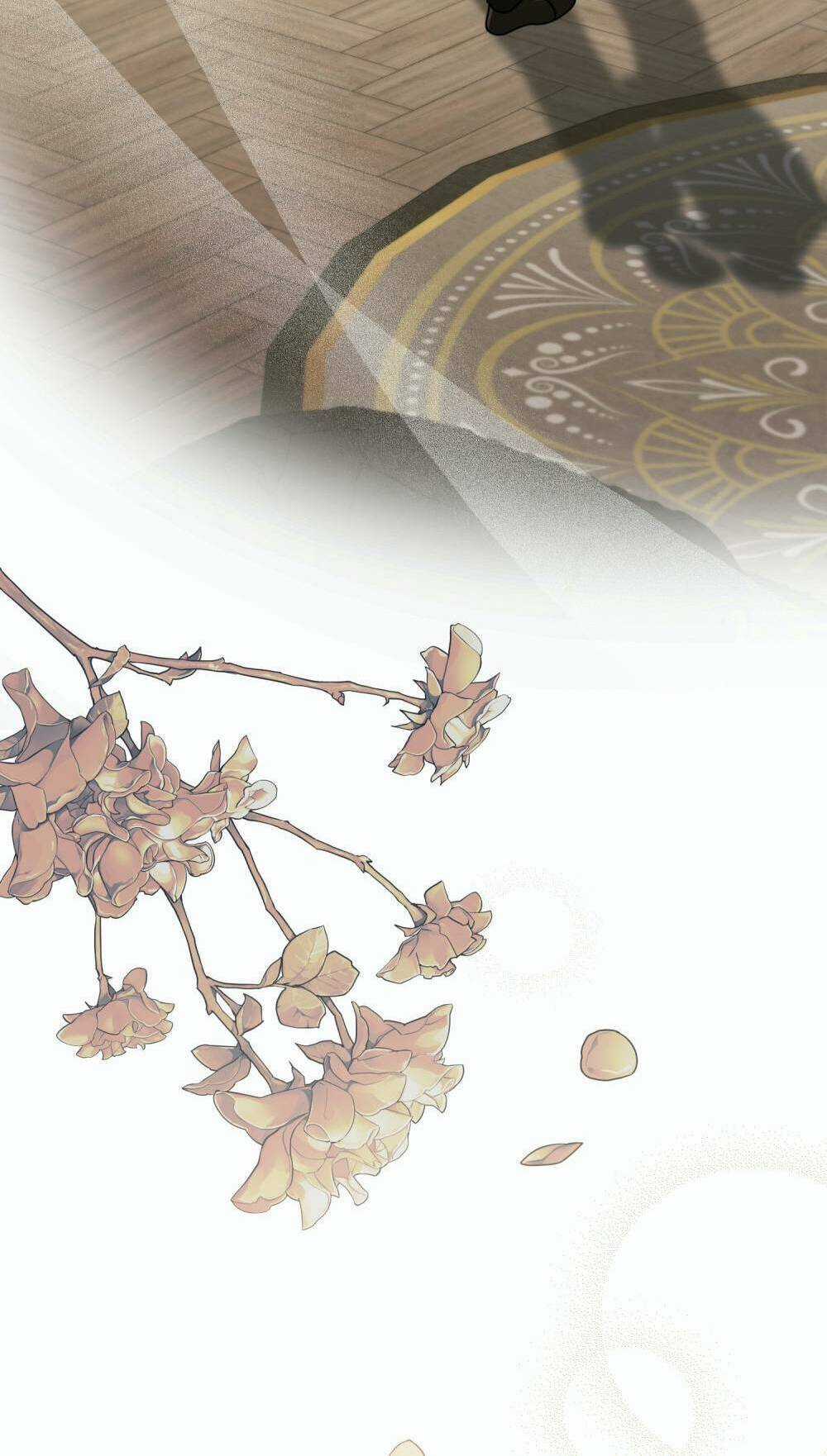 Tìm Lại Camellia Chapter 58 trang 19