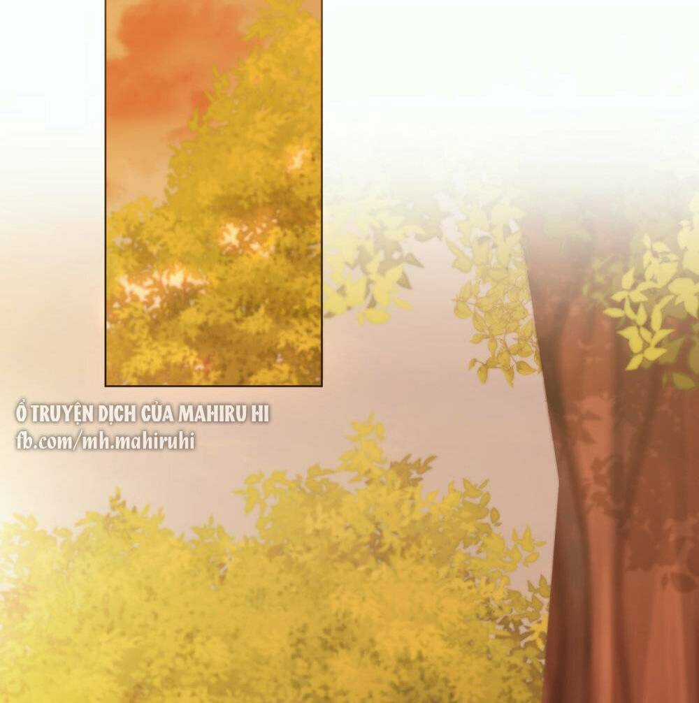 Tìm Lại Camellia Chapter 58 trang 22