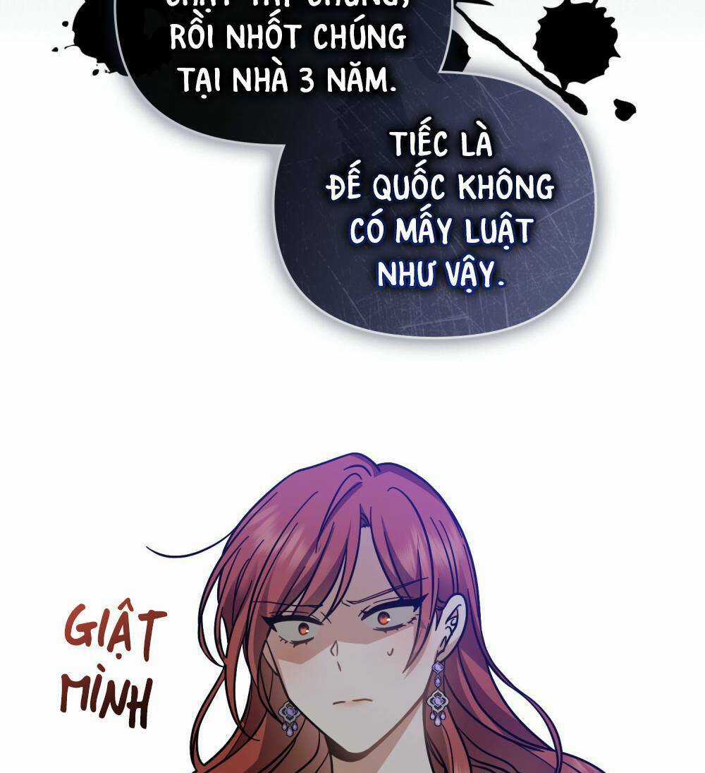 Tìm Lại Camellia Chapter 61 trang 47