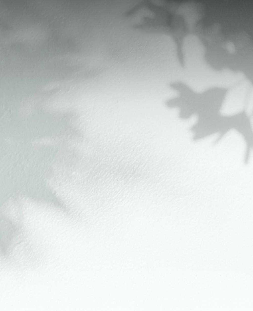 Tìm Lại Camellia Chapter 63 trang 77