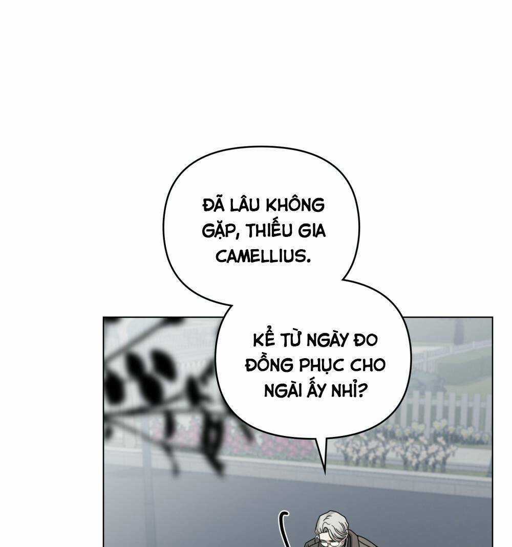 Tìm Lại Camellia Chapter 64 trang 2