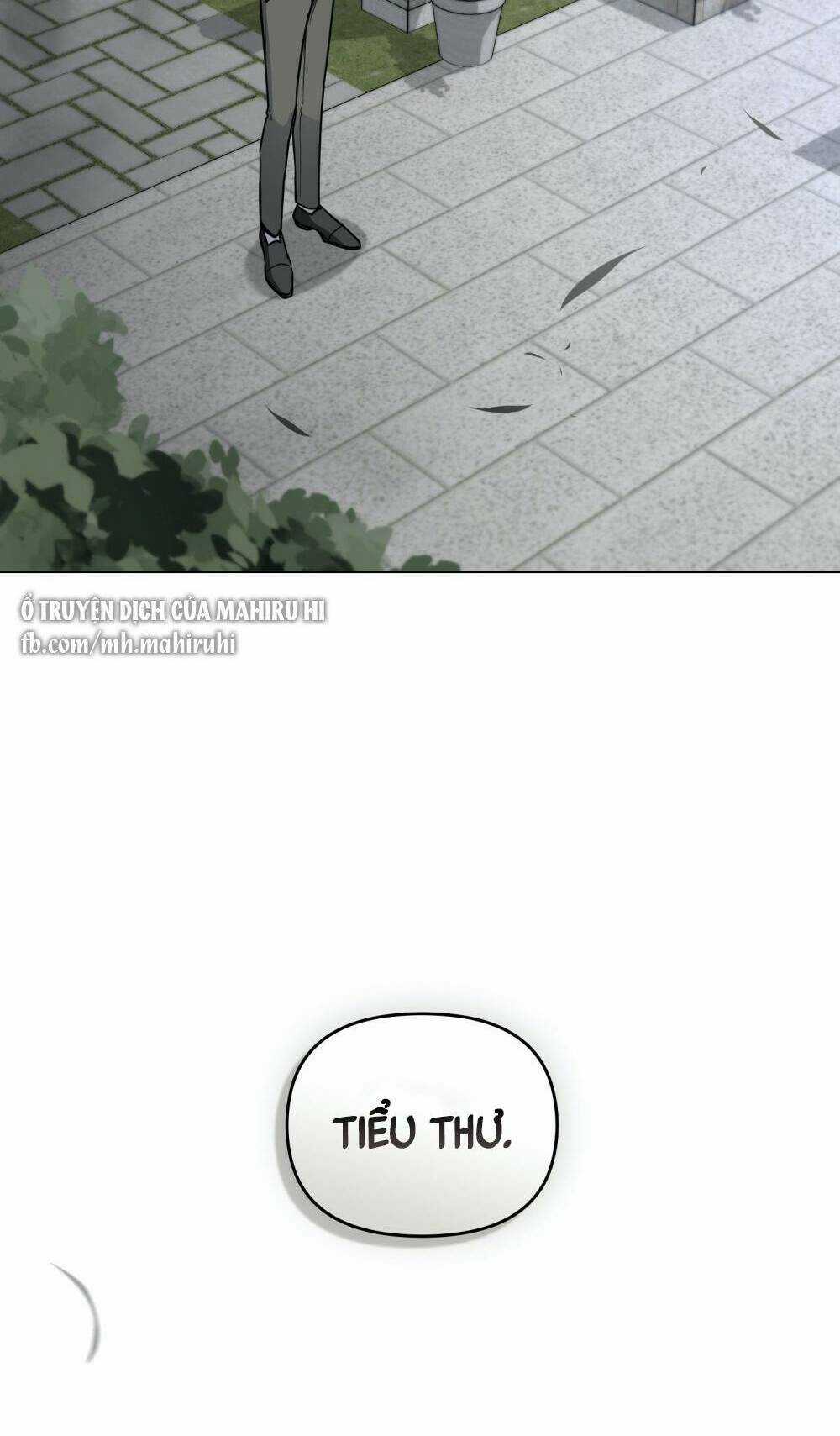 Tìm Lại Camellia Chapter 64 trang 22