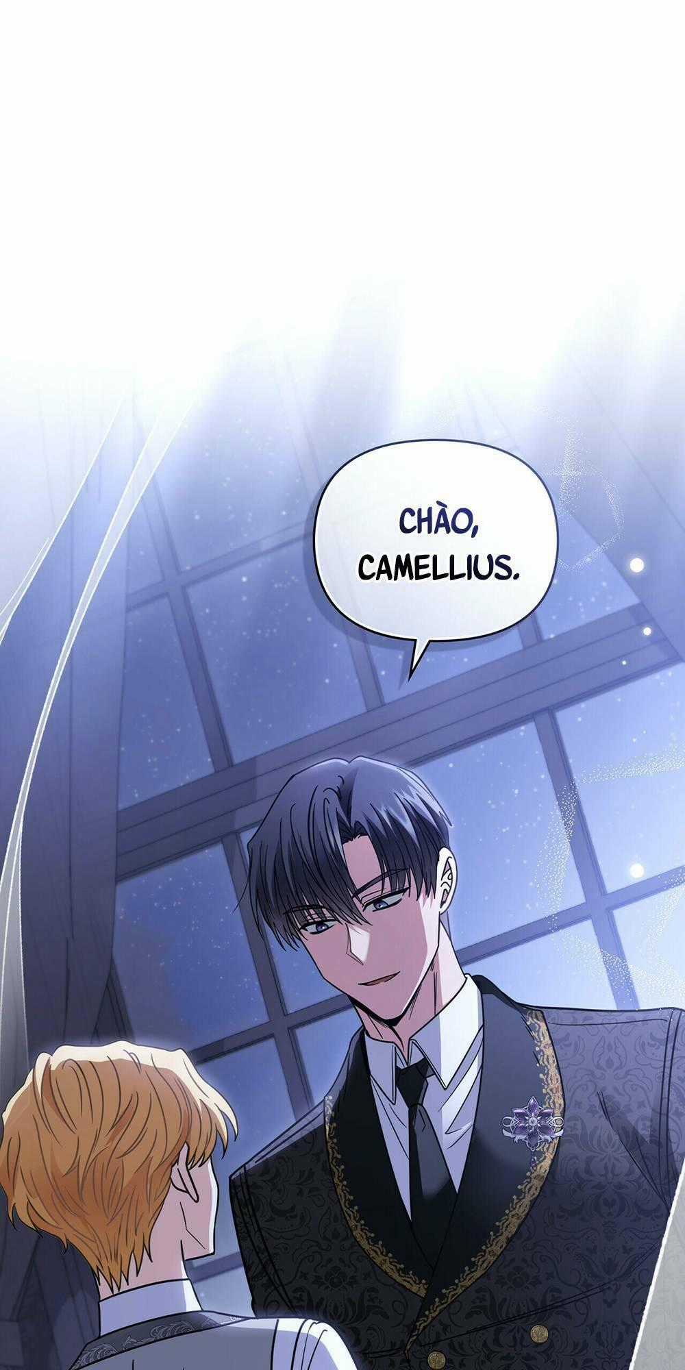 Tìm Lại Camellia Chapter 65 trang 1
