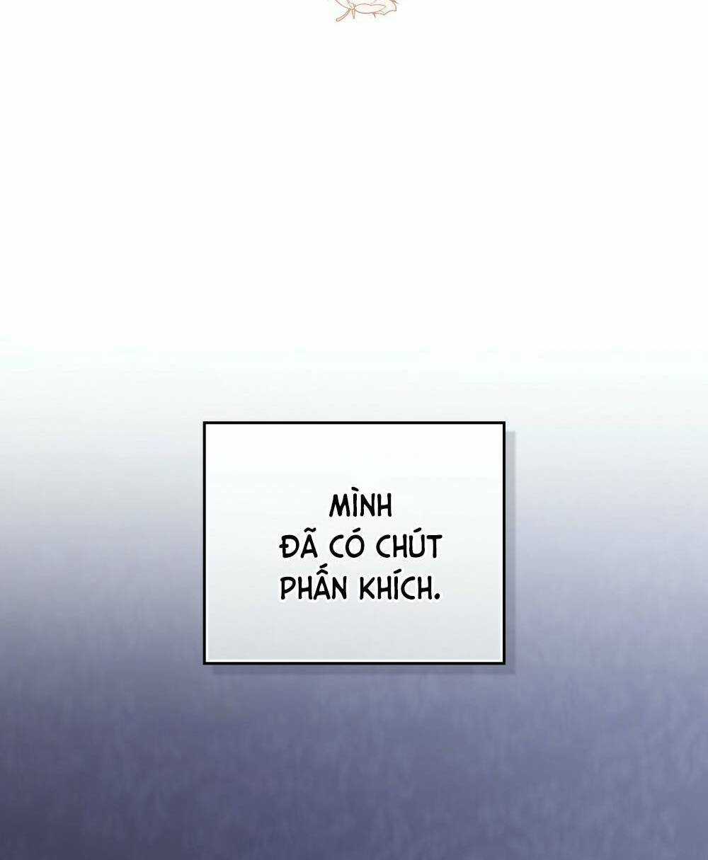 Tìm Lại Camellia Chapter 65 trang 25