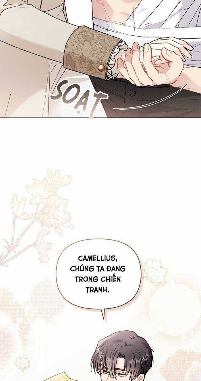 Tìm Lại Camellia Chapter 69 trang 7