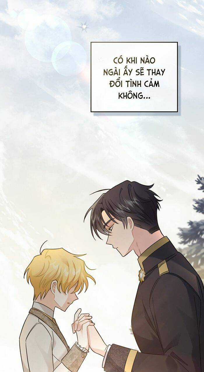 Tìm Lại Camellia Chapter 71 trang 12