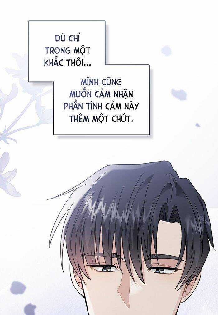 Tìm Lại Camellia Chapter 71 trang 16